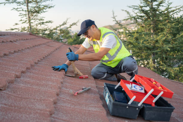 Roof Gutter Cleaning in Orchard Hills, PA
